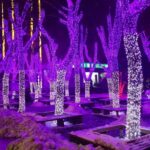 Fioletowe Lampki Choinkowe 100 LED - Perełki, Zasilanie Sieciowe, 8m Długości - obrazek 3