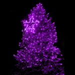Fioletowe Lampki Choinkowe LED - 240 sztuk z Programatorem, Do Użytku Wewnętrznego i Zewnętrznego, Standardy EU, Energooszczędne - obrazek 2