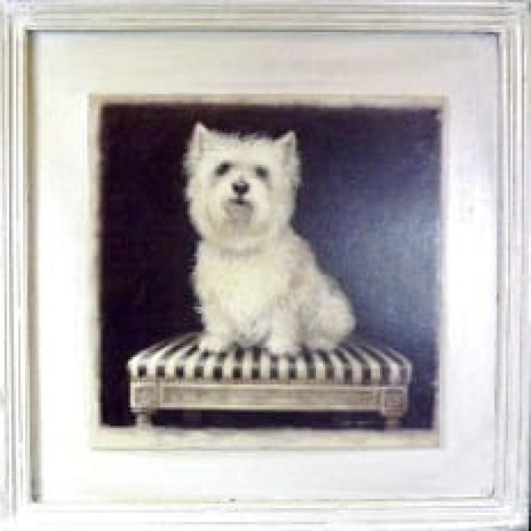 1585-4141 Postarzany Obraz z Białym Terierem na Stołku 41x41 cm - Część Tryptyku - obrazek 1