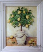 Obraz drzewo cytrusowe (pomarańcza) 25x38 cm - obrazek 2