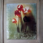 Obraz Vintage Tulipany w Koszyczku 48x40 cm z Serii Postarzanych Obrazów