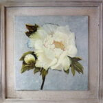 Obraz Postarzanej Białej Piwonii 38x38 cm - Kolekcja Kwiatów