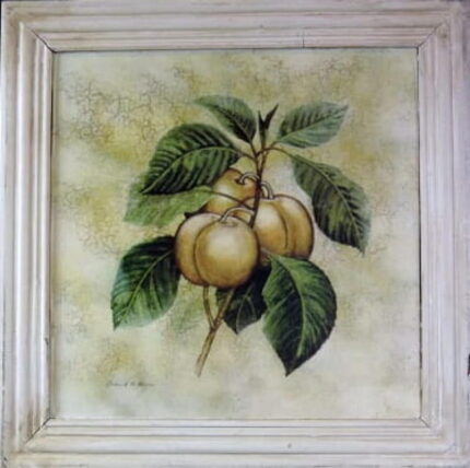 Obraz Owocowe Gałązki Efekt Starzenia 41x41 cm - Część z Serii 4