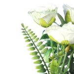 BUKIECIK WIOSENNY ZIELONY - obrazek 3