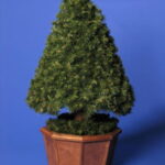 Stożek w donicy [CHSD-10]