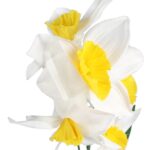 GAŁĄZKA Z 9 KWIATAMI NARCYZA 70 CM BIAŁA - obrazek 2