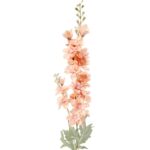 Ostróżka Dekoracyjna Podwójna Gałązka W Kolorze Łososiowym 80 cm - obrazek 2