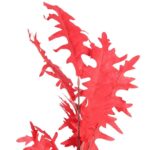 GAŁĄZKA LIŚCI DĘBU BŁOTNEGO 100 CM CZERWONA - obrazek 2