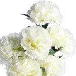 Bukiet GOŹDZIKÓW 42 cm  BIAŁY - obrazek 2