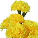 Bukiet GOŹDZIKÓW 42 cm ŻÓŁTY - obrazek 2