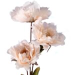 Sztuczne kwiaty - gałązka z 3 kremowymi piwoniami, 63 cm - obrazek 2