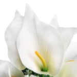 Bukiet 7 CALLI z bukszpanem 37 cm BIAŁY - obrazek 3