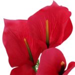 Bukiet 7 CALLI z bukszpanem 37 cm  CZERWONY - obrazek 2