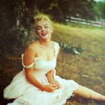 Obraz Merlin Monroe na trawie płótno 35x25cm