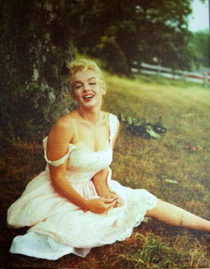 Obraz Merlin Monroe na trawie płótno 35x25cm