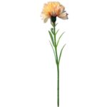 GOŹDZIK kwiat pojedynczy 30 CM KOLOR ŻÓŁTY