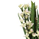 Realistyczny Sztuczny Storczyk w Plastikowej Doniczce, Biały, 75 cm - obrazek 3