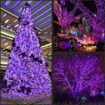 Lampki choinkowe 80 LED wewnętrzne fioletowe - obrazek 3