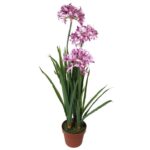 Różowy dekoracyjny czosnek w doniczce o wysokości 85 cm