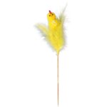 KURCZACZEK Z PIÓRKAMI NA PIKU