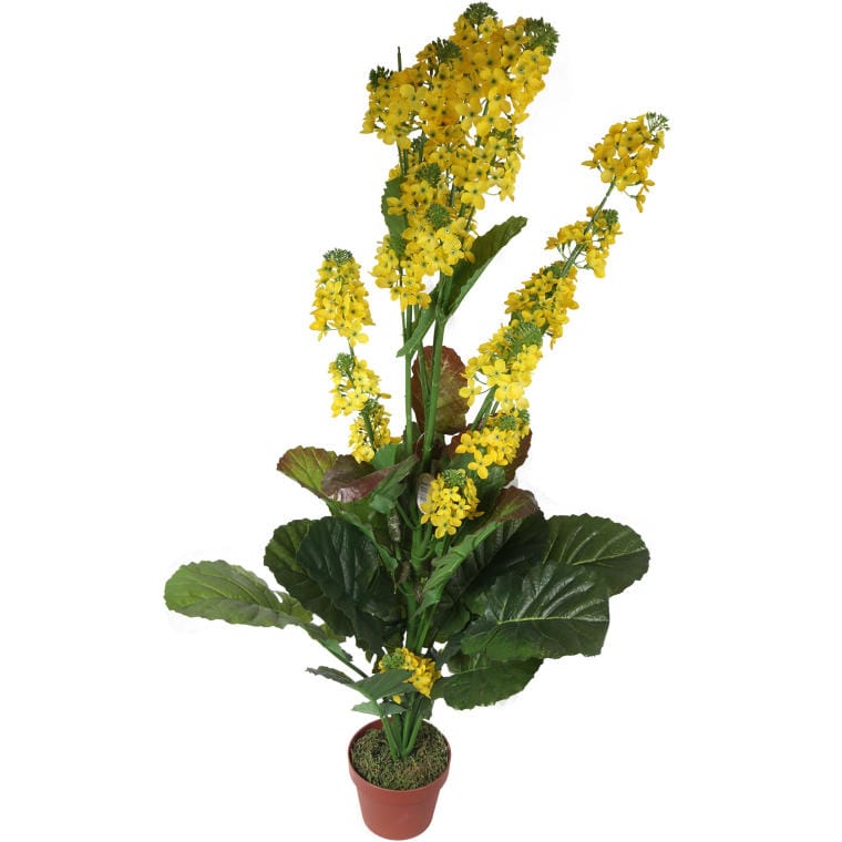 8722724 Żółty Kwiat Rzepaku w Doniczce o Wysokości 130cm - obrazek 1