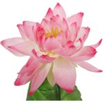 Różowa Dekoracja - Gałązka Lilii Wodnej Wyglądającej Jak Żywa, 80 cm - obrazek 3