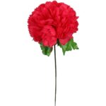 Chryzantema pojedynczy kwiat w kształcie kuli w kolorze czerwonym - obrazek 2