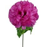 Chryzantema pojedynczy kwiat w kształcie kuli w kolorze fioletowym - obrazek 2