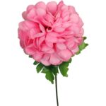 Chryzantema pojedynczy kwiat w kształcie kuli w kolorze różowym - obrazek 2