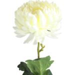 Chryzantema Dekoracyjna Biała 80 cm - Kwiat Sztuczny Wysokiej Jakości