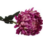 Długotrwała Chryzantema Strzępiasta Fioletowa 80 cm jako Dekoracja Wnętrz lub Kompozycji Kwiatowych - obrazek 3