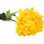 Długotrwała Chryzantema Strzępiasta Żółta 80 cm - Dekoracja Wnętrz i Kompozycji Kwiatowych - obrazek 3