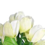 Bukiet 9 TULIPANÓW w kolorze BIAŁYM 32 cm - obrazek 2