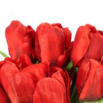 Bukiet 9 GTULIPANÓW w kolorze CZERWONYM 32 cm - obrazek 2