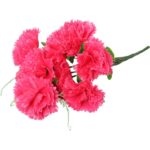 Bukiet 9 goździków z wąsami kolor różowy - obrazek 3