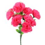 Bukiet 9 goździków z wąsami kolor różowy