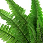 PAPROĆ BUKIET 12 GAŁĄZEK 52 CM - obrazek 2