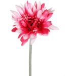 Gerbera Dekoracyjna Wysokiej Jakości w Kolorze Biało-Różowym, 55 cm