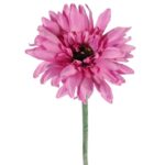 GERBERA KWIAT POJEDYNCZY 70 cm KOLOR FIOLETOWY