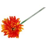 GERBERA KWIAT POJEDYNCZY KOLOR POMARAŃCZOWY III - obrazek 3