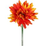 GERBERA KWIAT POJEDYNCZY KOLOR POMARAŃCZOWY III