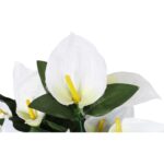 Bukiet 12 anturium w kolorze białym - obrazek 2