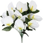 Bukiet 12 anturium w kolorze białym