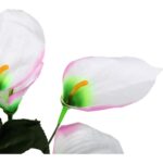 Bukiet 12 anturium w kolorze jasno-różowym - obrazek 2