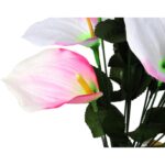 Bukiet 12 anturium w kolorze jasno-różowym - obrazek 3