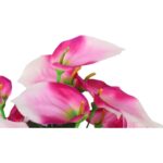 Bukiet 12 anturium w kolorze różowym - obrazek 2