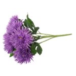 Bukiet 5 astrów w kolorze fioletowym - obrazek 3