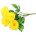 Bukiet 5 astrów w kolorze żółtym - obrazek 2