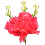 Sztuczny Bukiet 10 Różowych Goździków o Wysokości 40 cm - obrazek 3