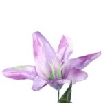 BUKIET 9 JESIENNYCH LILII Z PĄKAMI FIOLETOWY - obrazek 3